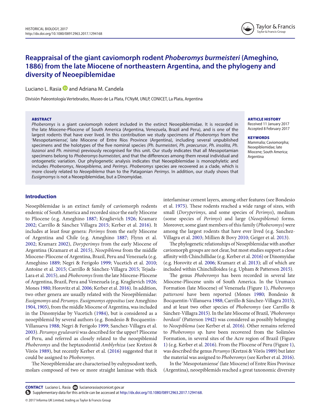 Reappraisal of the Giant Caviomorph Rodent Phoberomys Burmeisteri