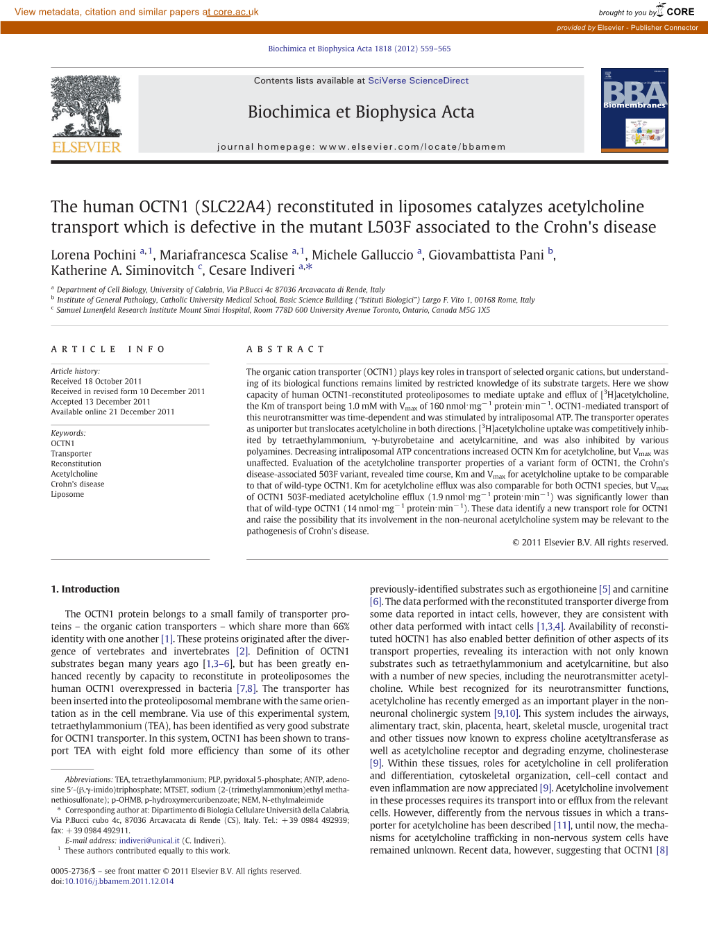 The Human OCTN1 (SLC22A4) Reconstituted in Liposomes Catalyzes Acetylcholine Transport Which Is Defective in the Mutant L503F Associated to the Crohn's Disease