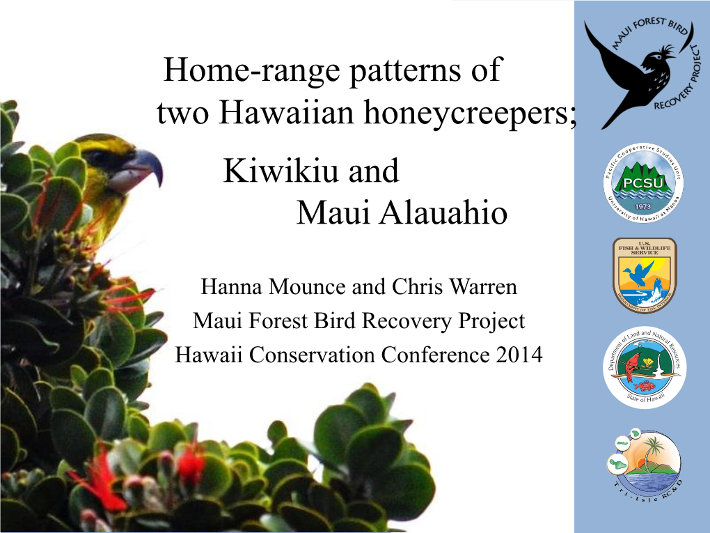 Home-Range Patterns of Two Hawaiian Honeycreepers; Kiwikiu and Maui Alauahio