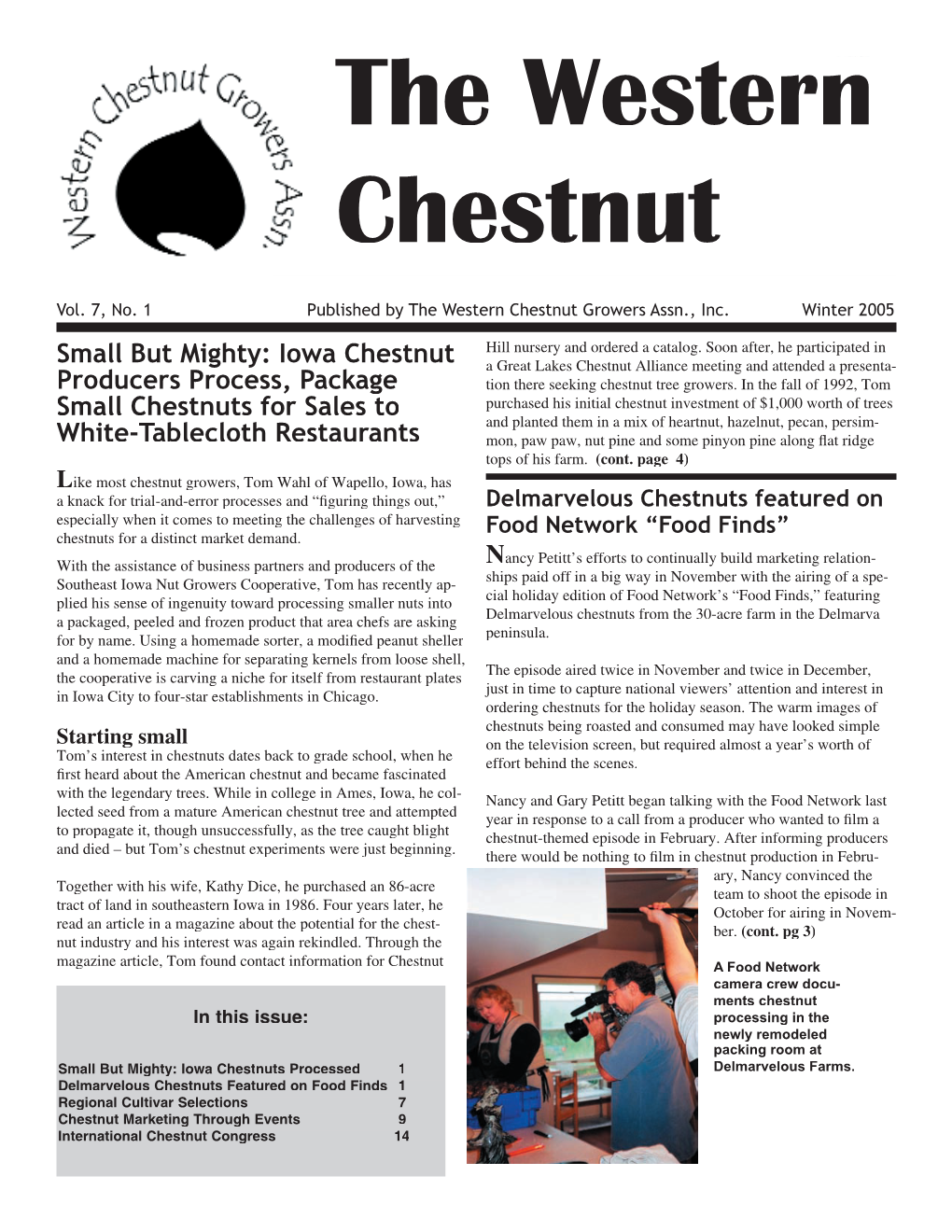 The Western Chestnut