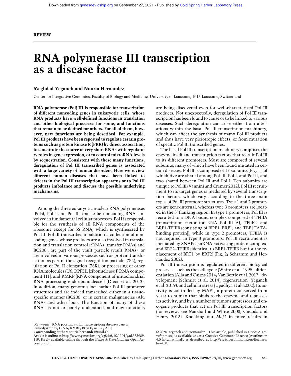 RNA Polymerase III Transcription As a Disease Factor