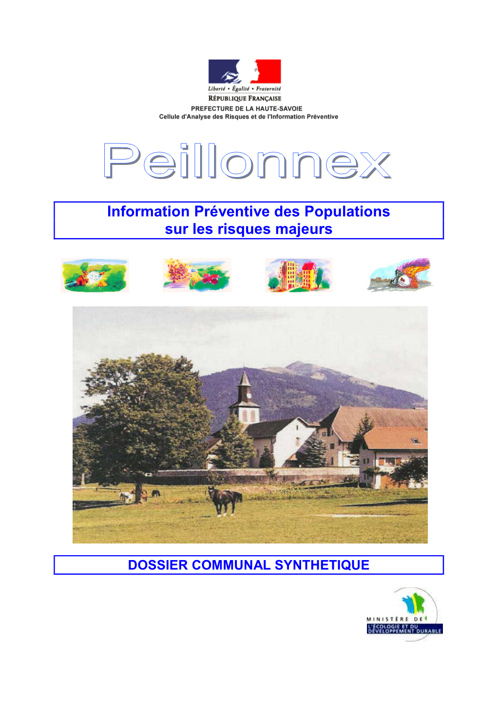 DCS Peillonnex