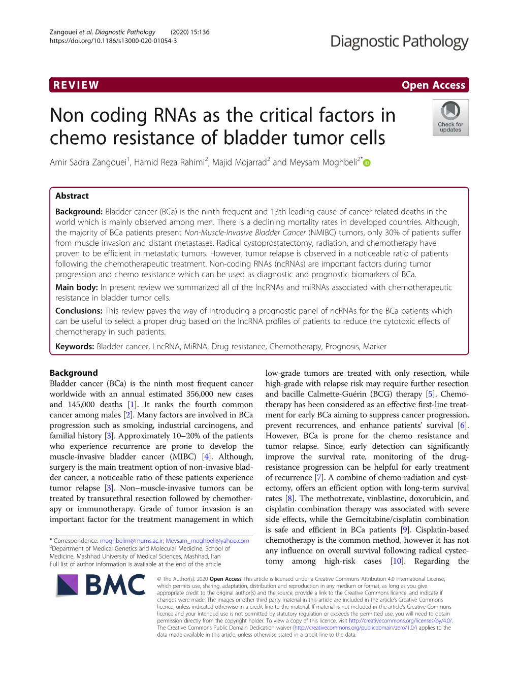 Non Coding Rnas As the Critical Factors in Chemo Resistance of Bladder Tumor Cells Amir Sadra Zangouei1, Hamid Reza Rahimi2, Majid Mojarrad2 and Meysam Moghbeli2*