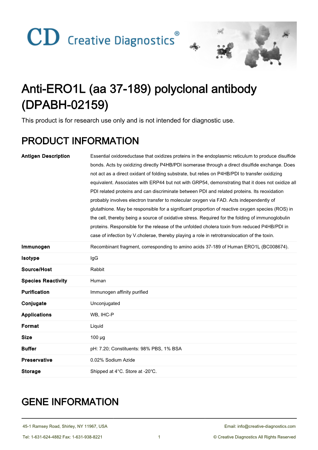 Anti-ERO1L (Aa 37-189) Polyclonal Antibody (DPABH-02159) This Product Is for Research Use Only and Is Not Intended for Diagnostic Use