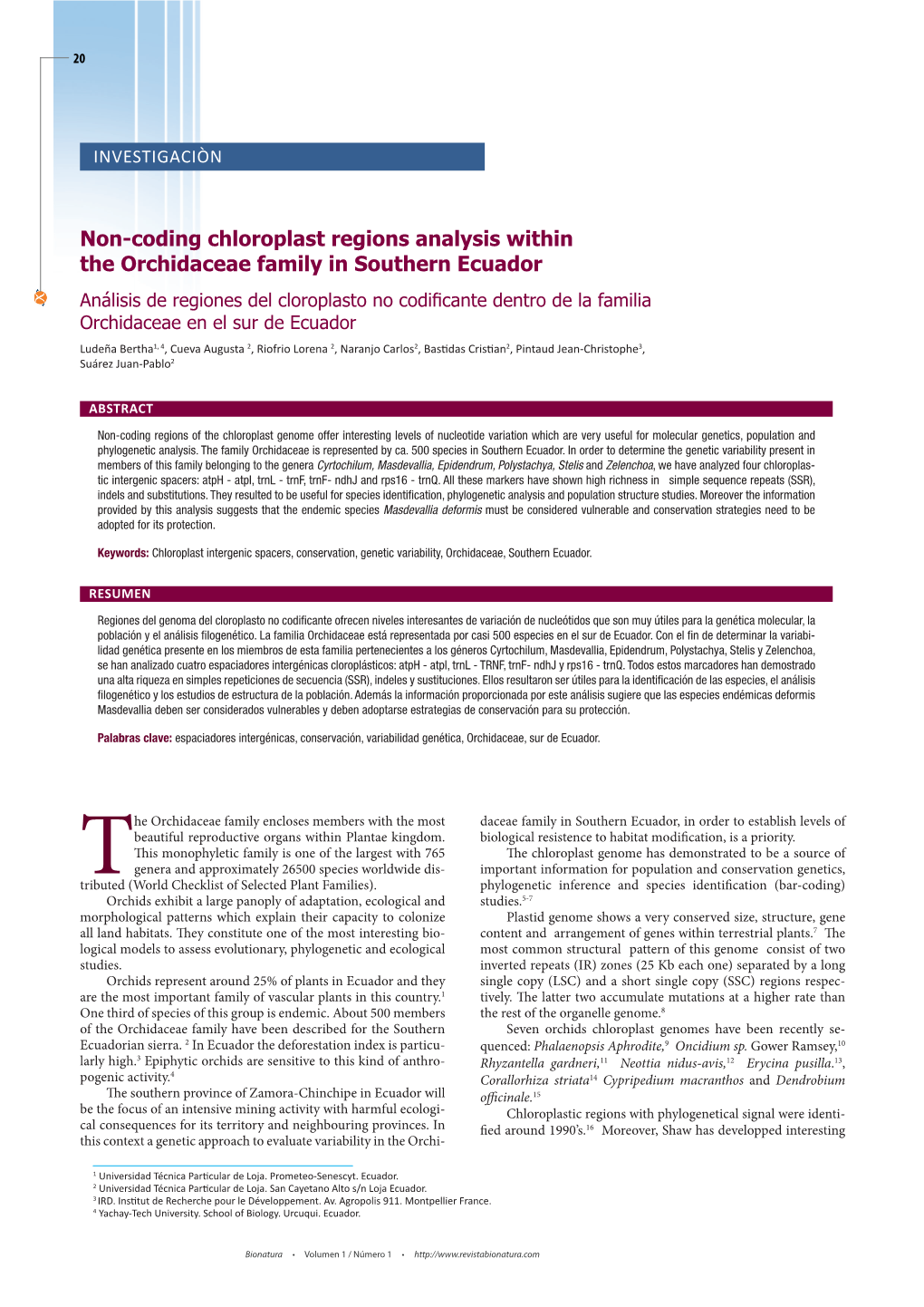 Non-Coding Chloroplast Regions Analysis Within the Orchidaceae