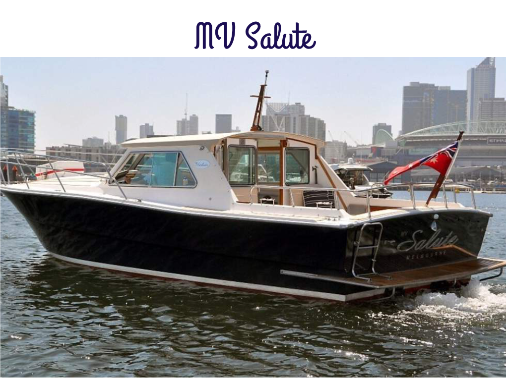 MV Salute Vessel Features