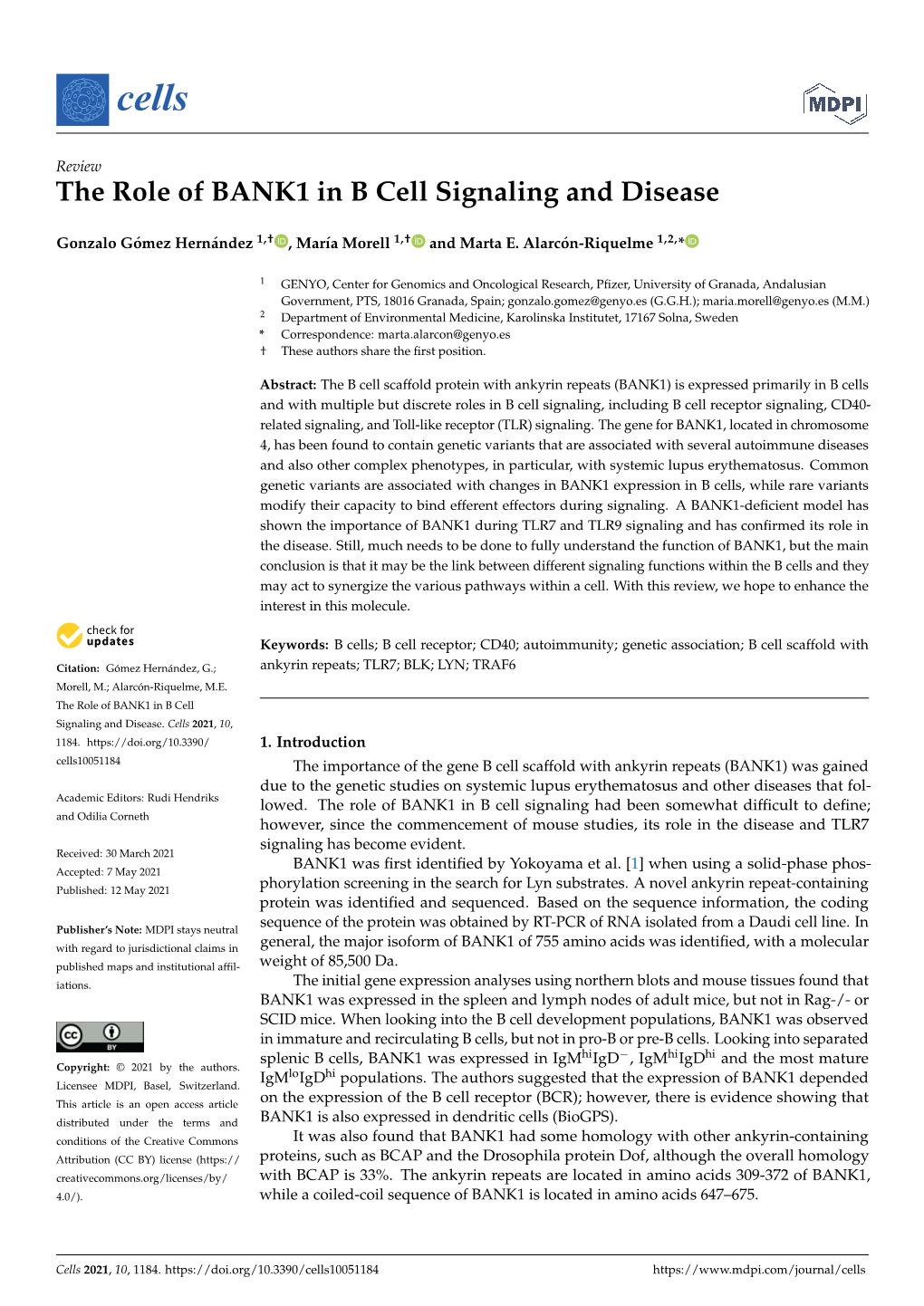 The Role of BANK1 in B Cell Signaling and Disease