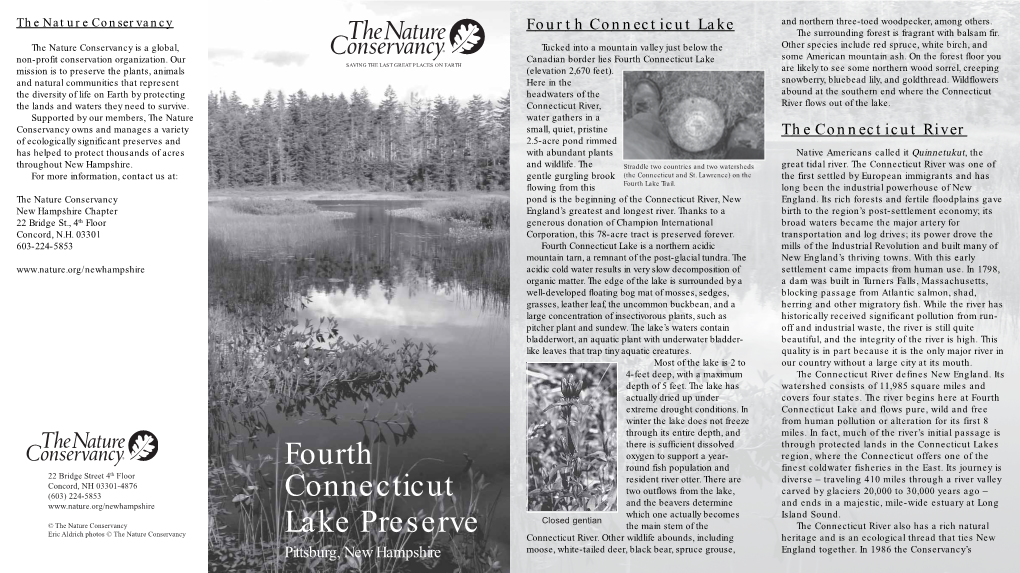 Fourth Connecticut Lake Preserve