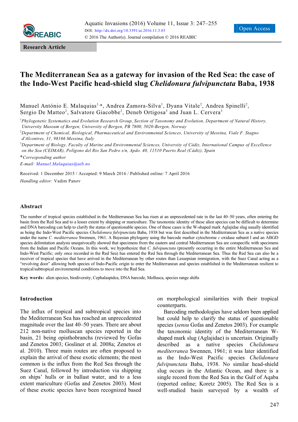 The Mediterranean Sea As a Gateway for Invasion of the Red Sea: the Case of the Indo-West Pacific Head-Shield Slug Chelidonura Fulvipunctata Baba, 1938