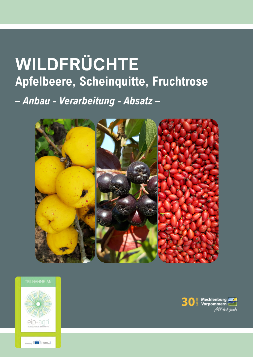 WILDFRÜCHTE Apfelbeere, Scheinquitte, Fruchtrose – Anbau - Verarbeitung - Absatz –