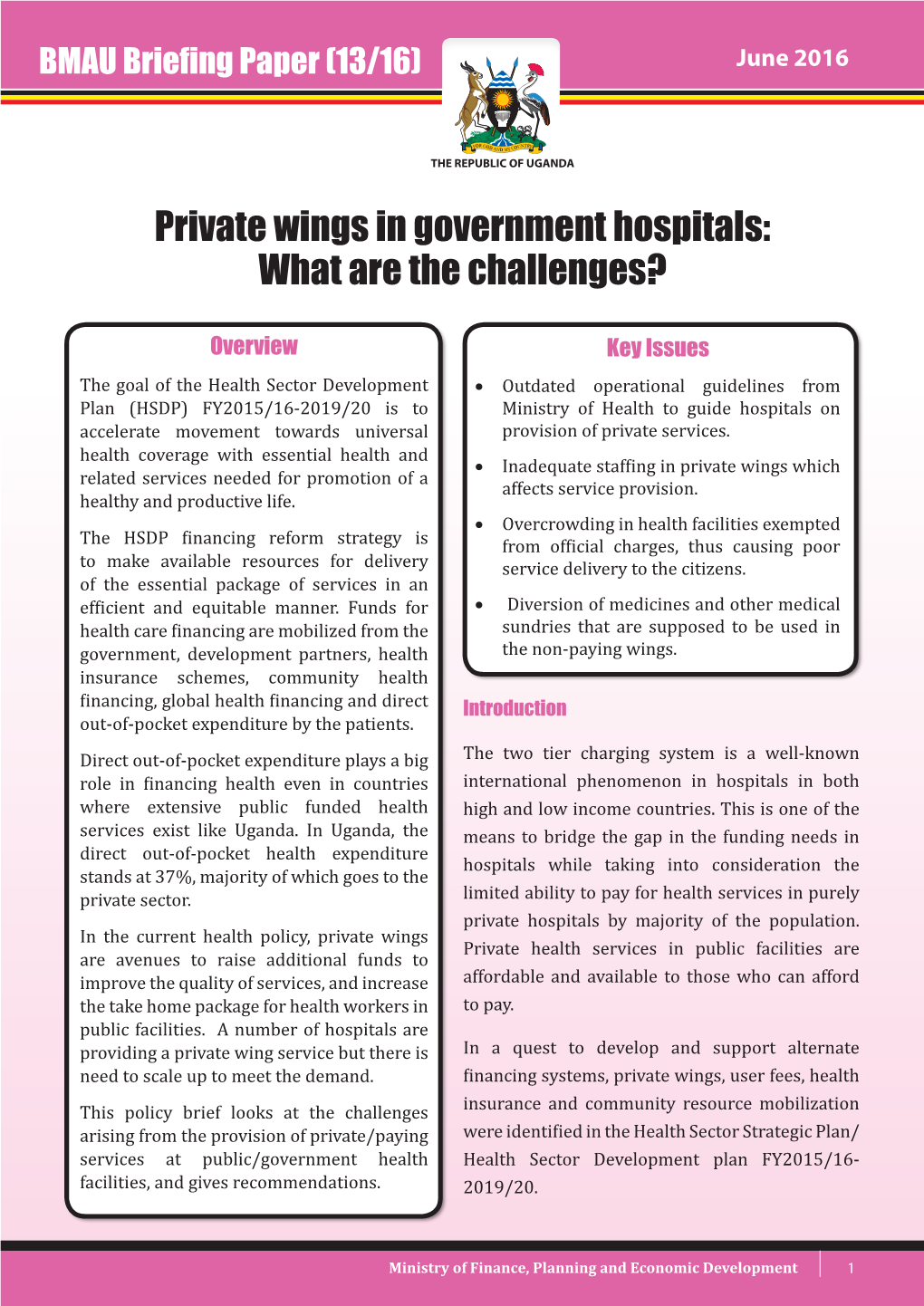 BMAU Briefing Paper 13/16: Private Wings in Government Hospitals