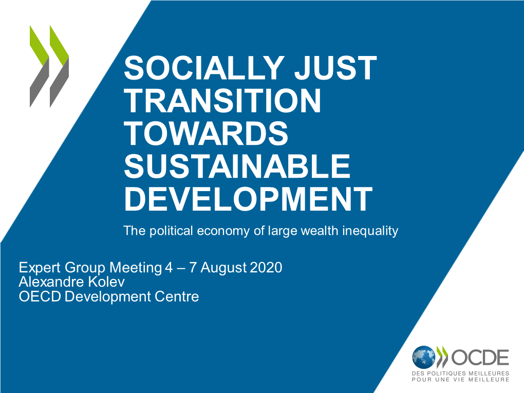 SOCIALLY JUST TRANSITION TOWARDS SUSTAINABLE DEVELOPMENT the Political Economy of Large Wealth Inequality