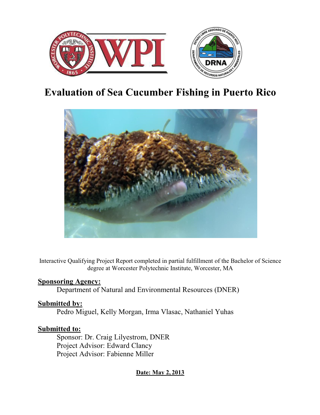 Evaluation of Sea Cucumber Fishing in Puerto Rico