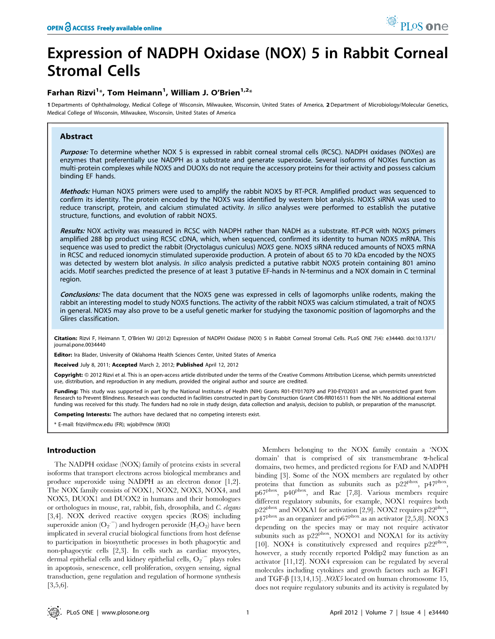 Expression of NADPH Oxidase (NOX) 5 in Rabbit Corneal Stromal Cells