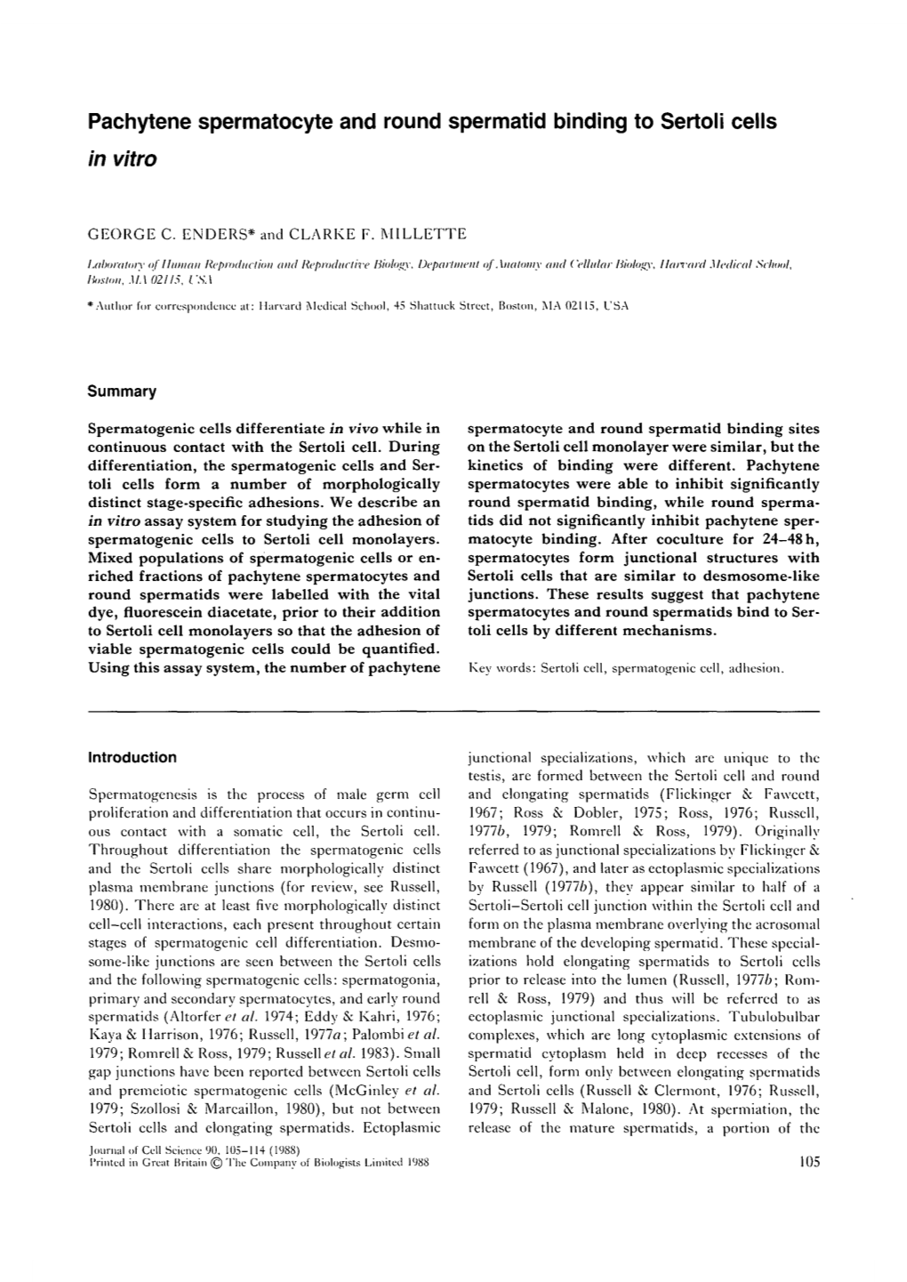 Pachytene Spermatocyte and Round Spermatid Binding to Sertoli Cells in Vitro