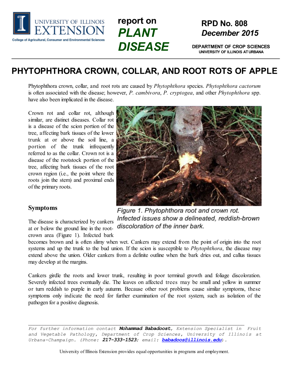 Phytophthora Crown, Collar, and Root Rots of Apple