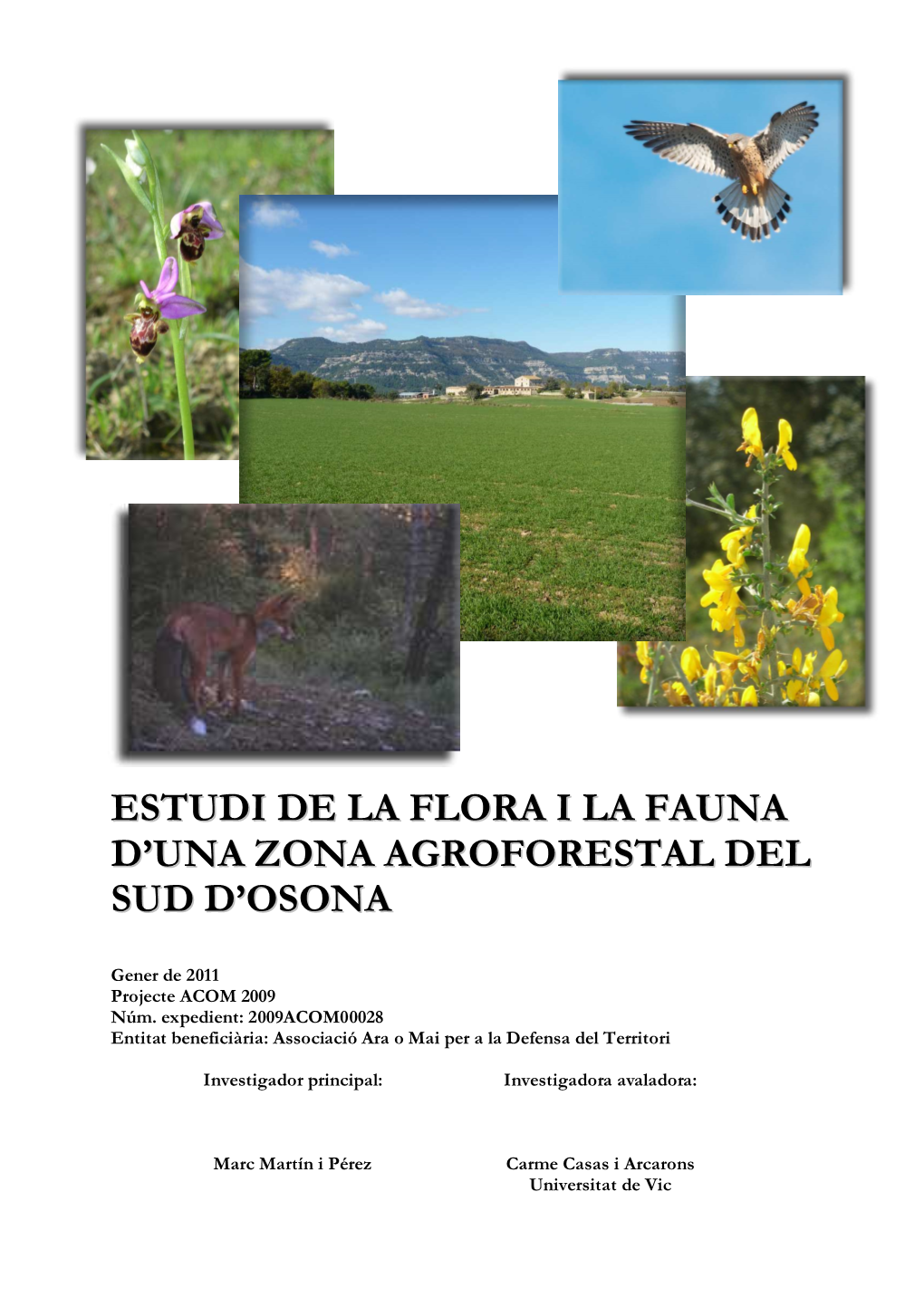 MEMÒRIA Flora I Fauna Osona Sud Definitiva.Pdf