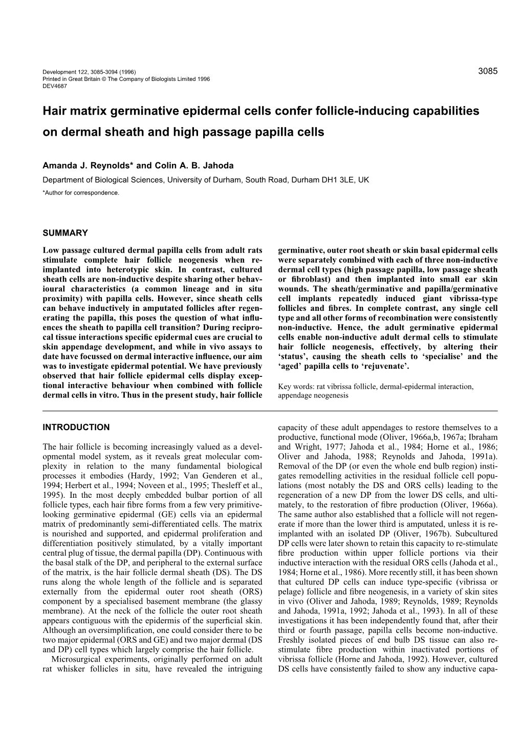 Hair Matrix Germinative Epidermal Cells Confer Follicle-Inducing Capabilities on Dermal Sheath and High Passage Papilla Cells