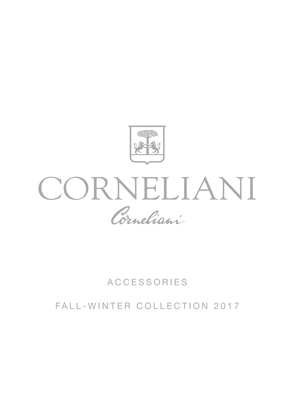 Fall-Winter Collection 2017 Accessories Ai17
