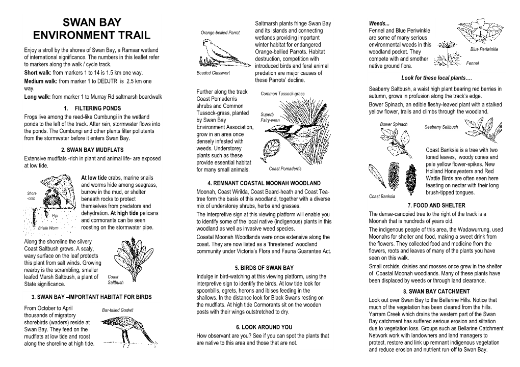 Swan Bay Environment Trail