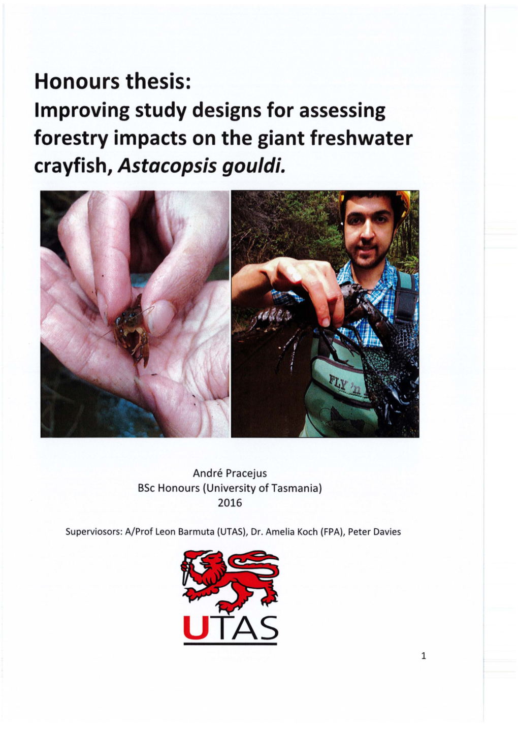 Honours Thesis: Improving Study Designs for Assessing Forestry Impacts on the Giant Freshwater Crayfish, Astacopsis Gouldi