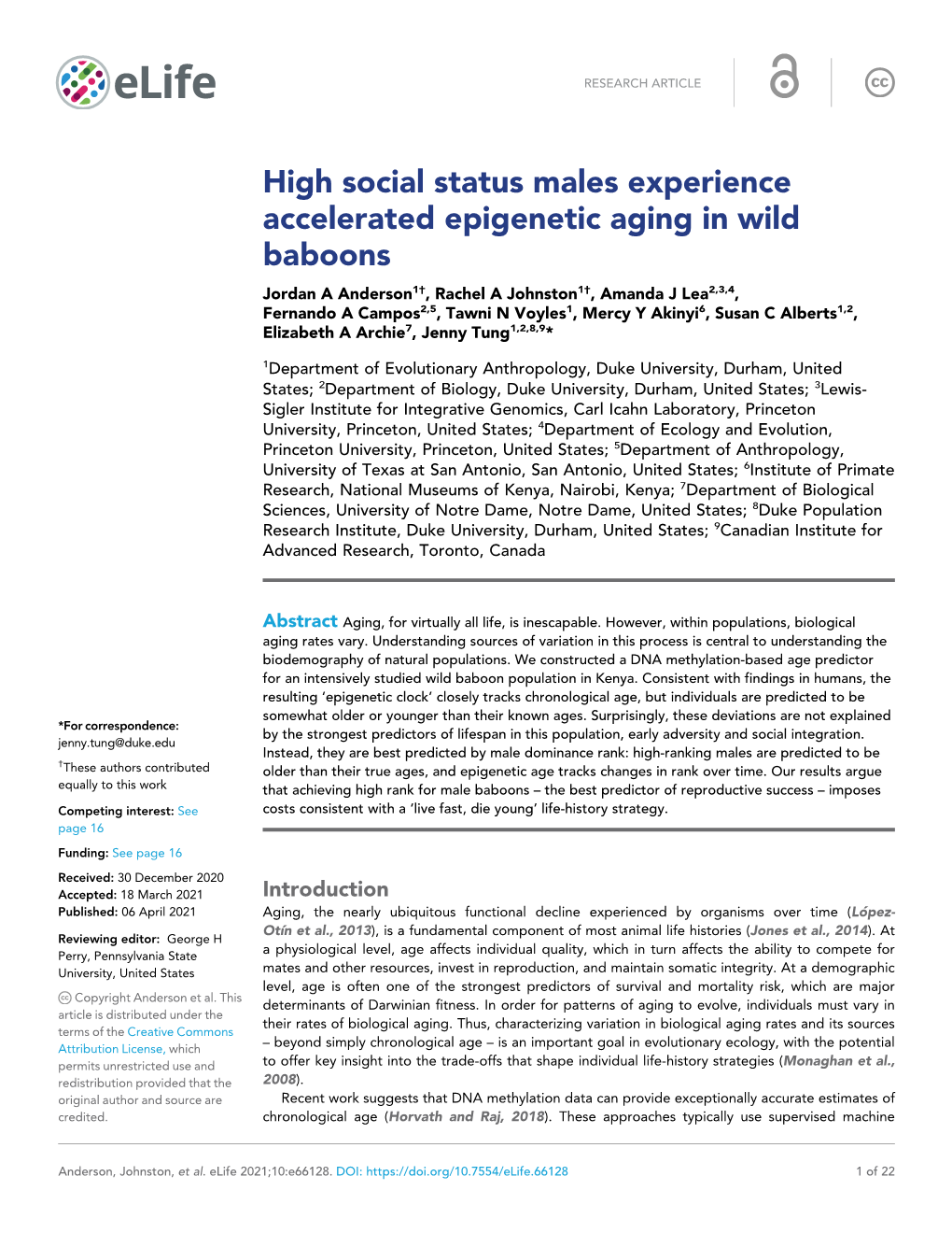 High Social Status Males Experience Accelerated Epigenetic Aging In