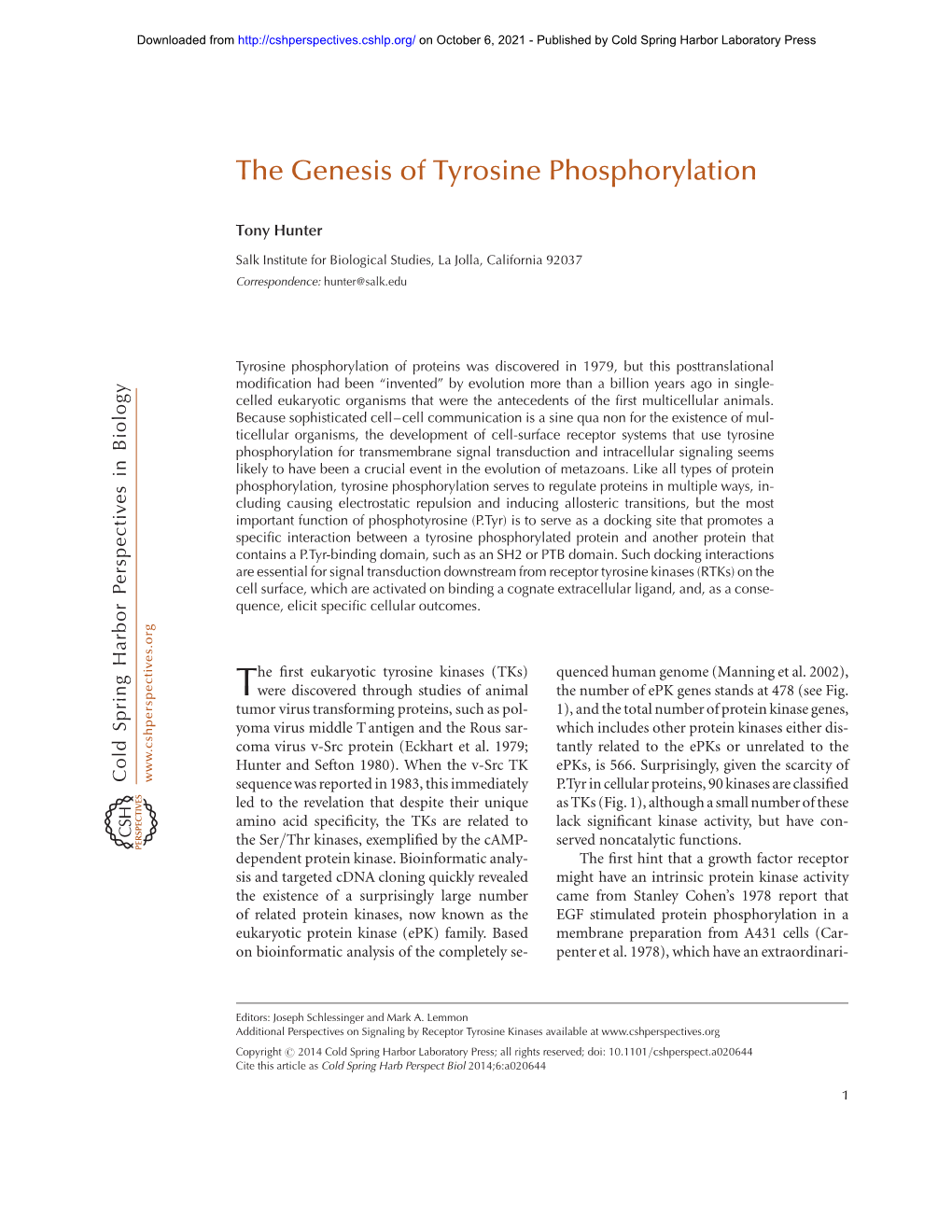 The Genesis of Tyrosine Phosphorylation
