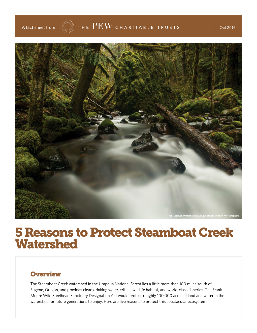 5 Reasons to Protect Steamboat Creek Watershed