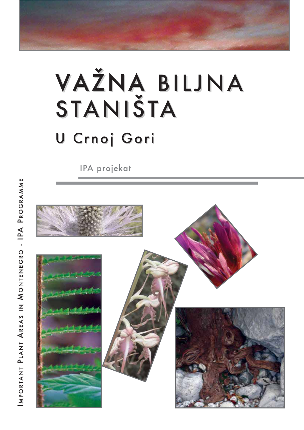 Važna Biljna Staništa U Crnoj Gori