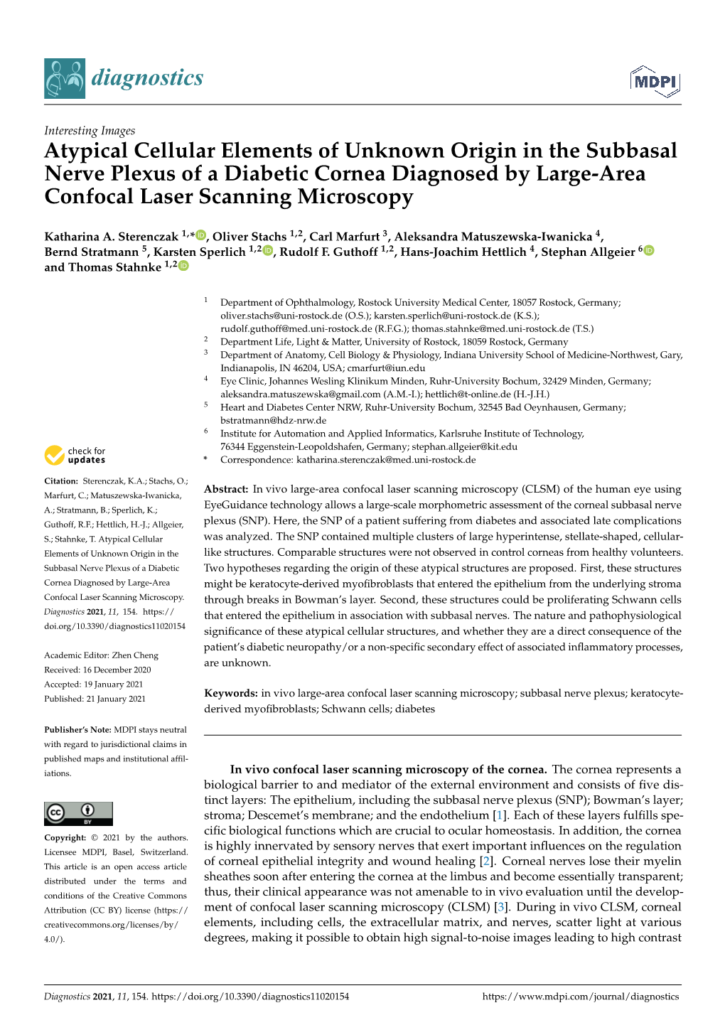 Atypical Cellular Elements of Unknown Origin in the Subbasal Nerve Plexus of a Diabetic Cornea Diagnosed by Large-Area Confocal Laser Scanning Microscopy