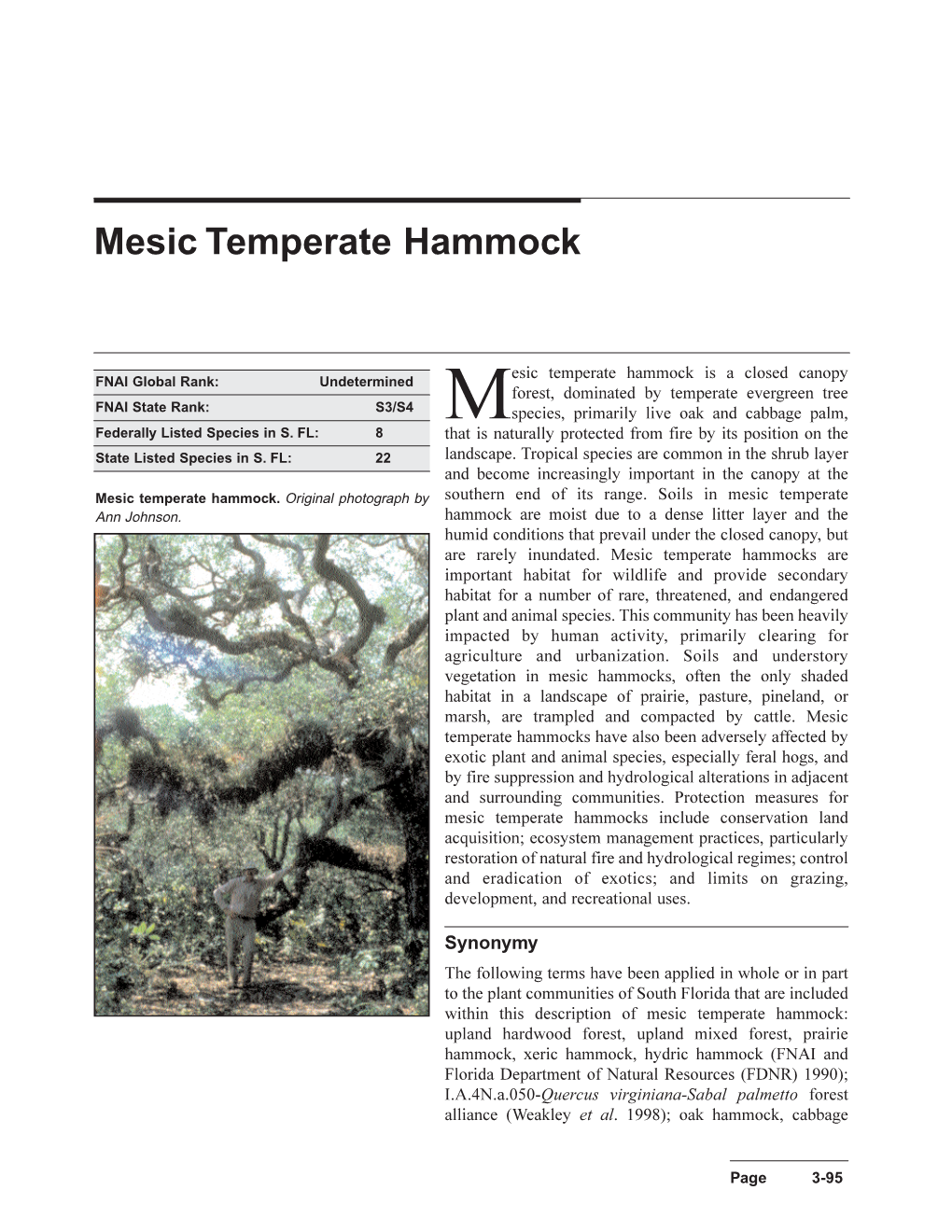 Mesic Temperate Hammock Is a Closed Canopy