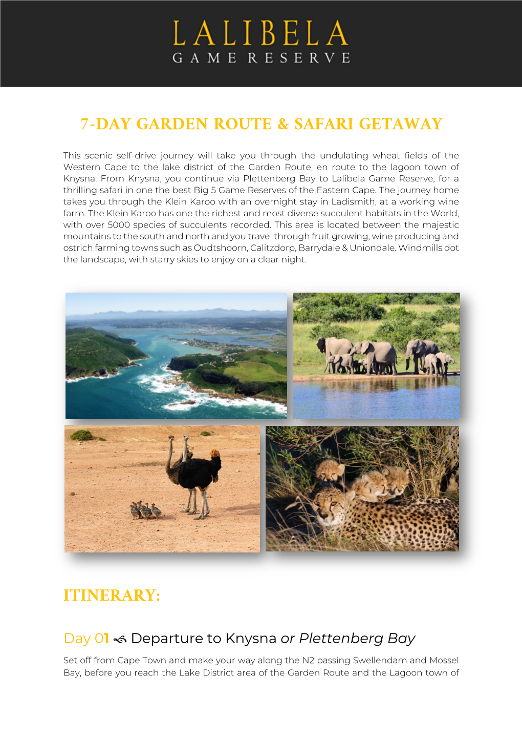 7-Day Garden Route & Safari Getaway Itinerary