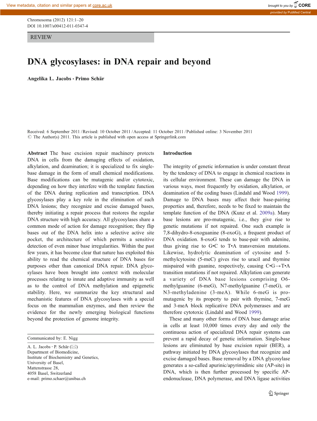 DNA Glycosylases: in DNA Repair and Beyond