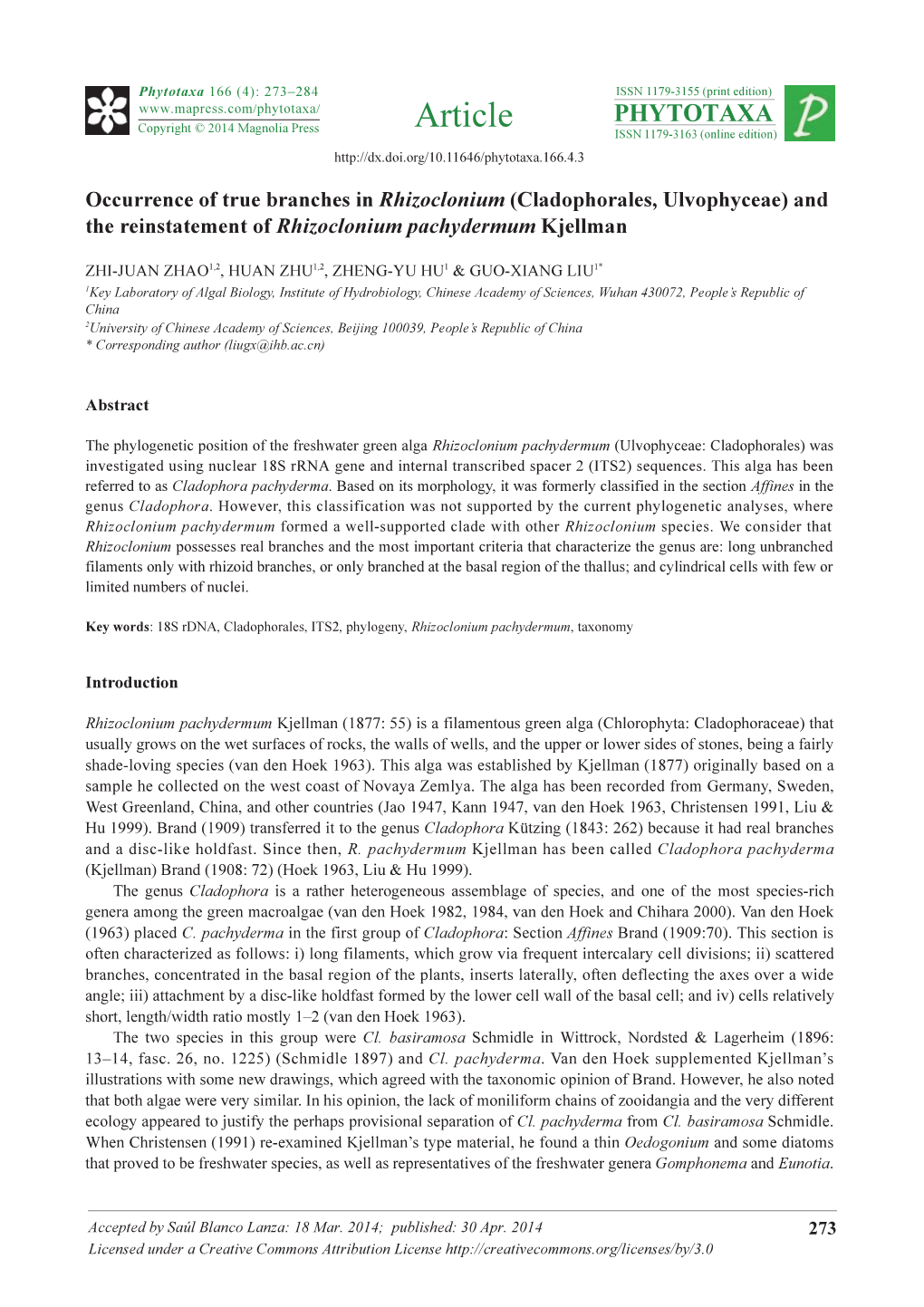 Cladophorales, Ulvophyceae) and the Reinstatement of Rhizoclonium Pachydermum Kjellman