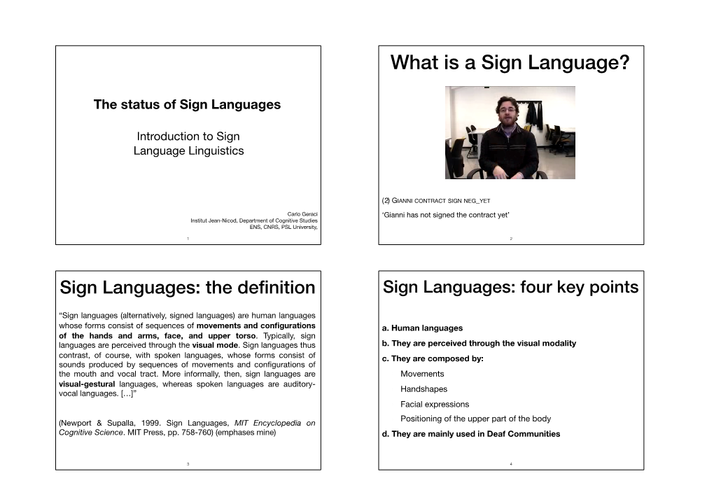 What Is a Sign Language?
