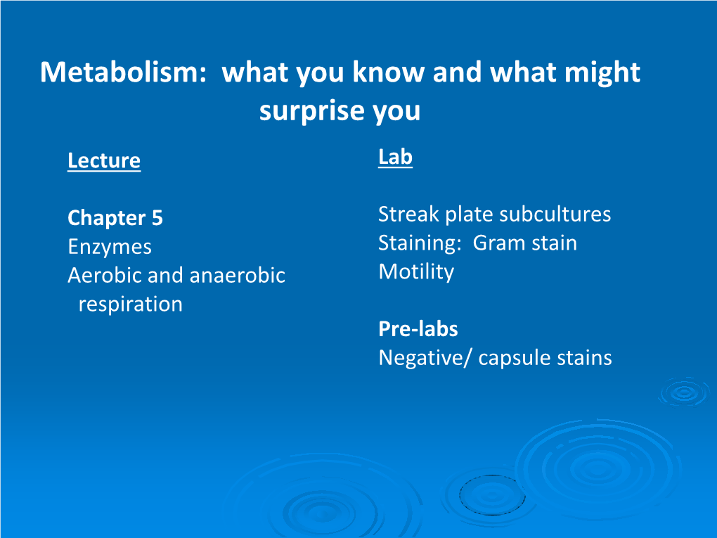 Metabolism: What You Know and What Might Surprise You Lecture Lab