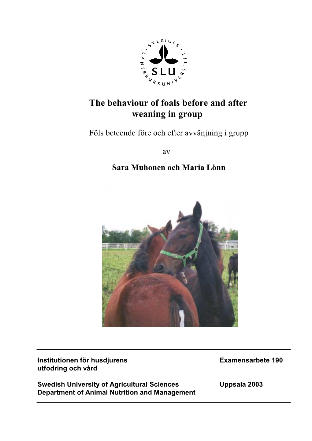 The Behaviour of Foals Before and After Weaning in Group