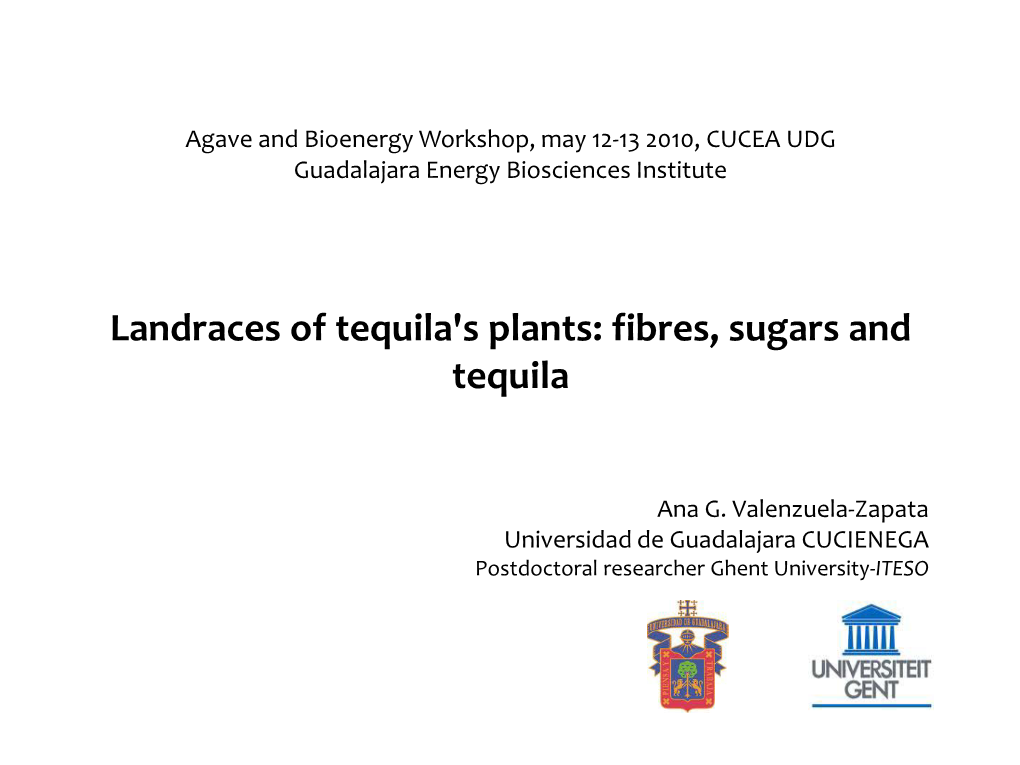 Landraces of Tequila's Plants: Fibres, Sugars and Tequila