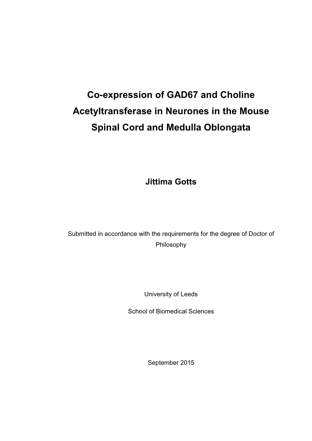 Co-Expression of GAD67 and Choline Acetyltransferase in Neurones in the Mouse Spinal Cord and Medulla Oblongata