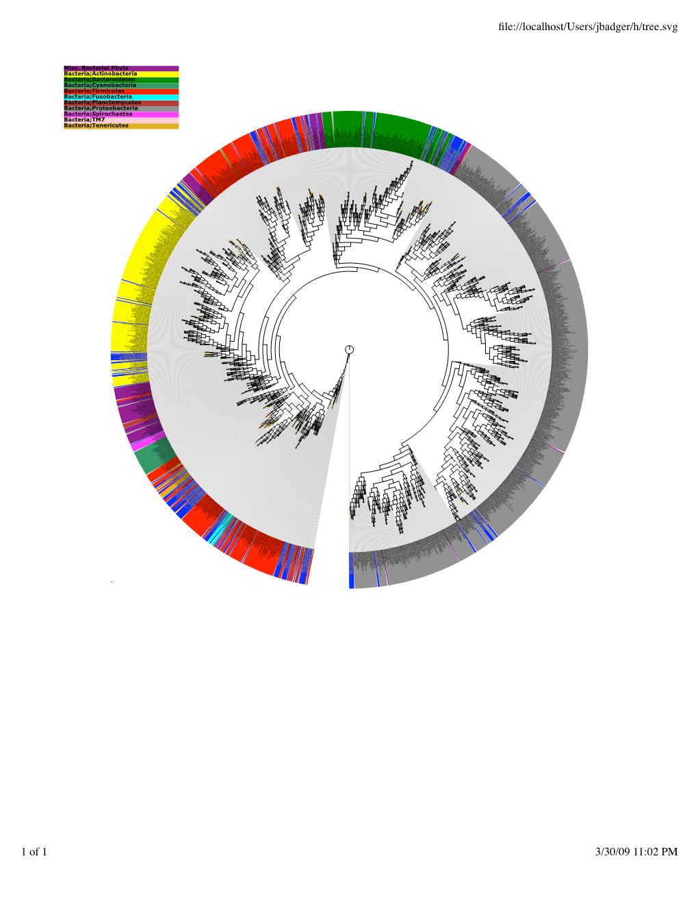 Misc. Bacterial Phyla Bacteria;Actinobacteria Bacteria