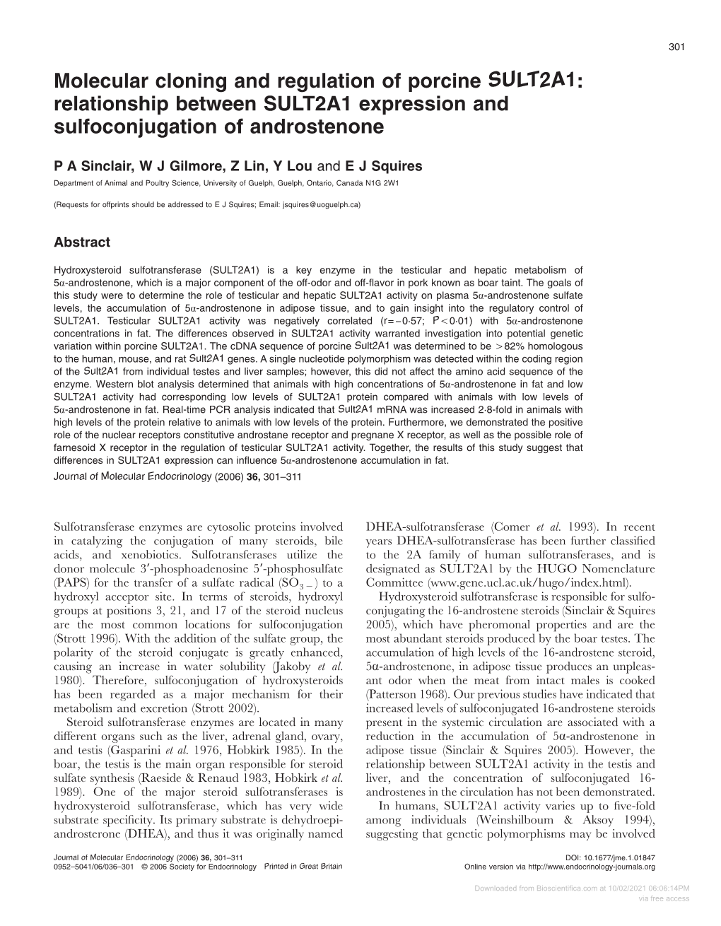Relationship Between SULT2A1 Expression and Sulfoconjugation of Androstenone
