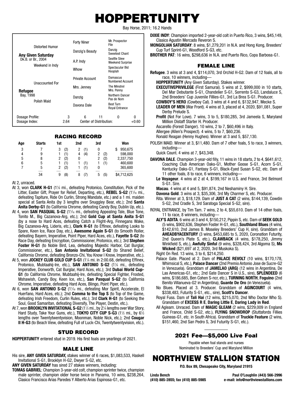 HOPPERTUNITY Bay Horse, 2011; 16.2 Hands DIXIE INDY: Champion Imported 2-Year-Old Colt in Puerto Rico, 3 Wins, $45,149, Forty Niner Mr