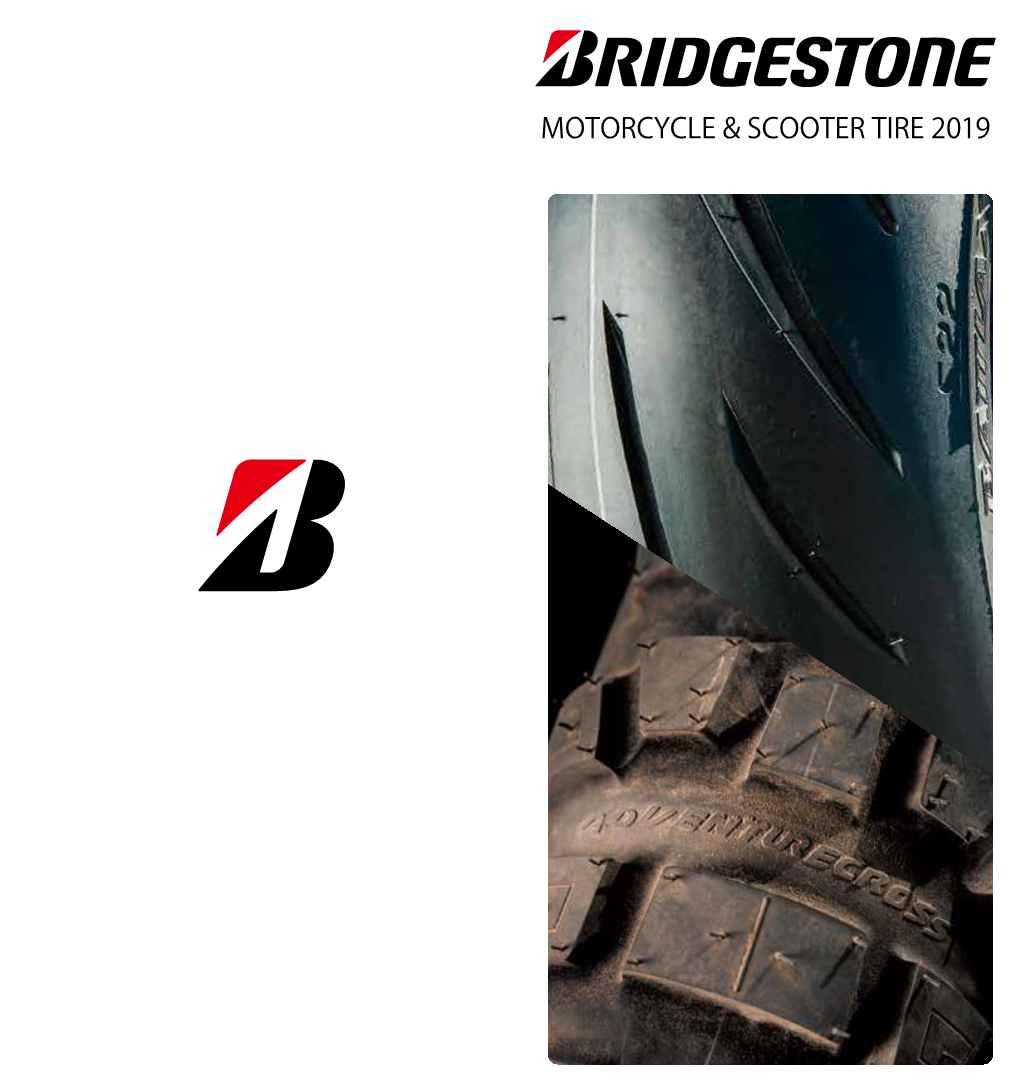 Motorcycle & Scooter Tire 2019