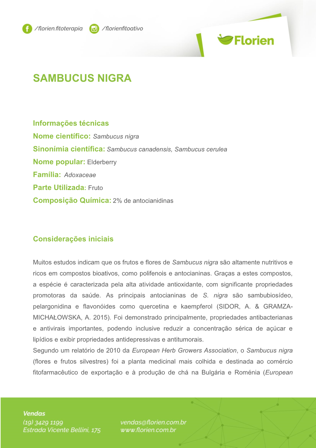 Sambucus Nigra