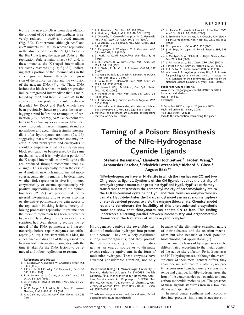 Biosynthesis of the Nife-Hydrogenase Cyanide Ligands