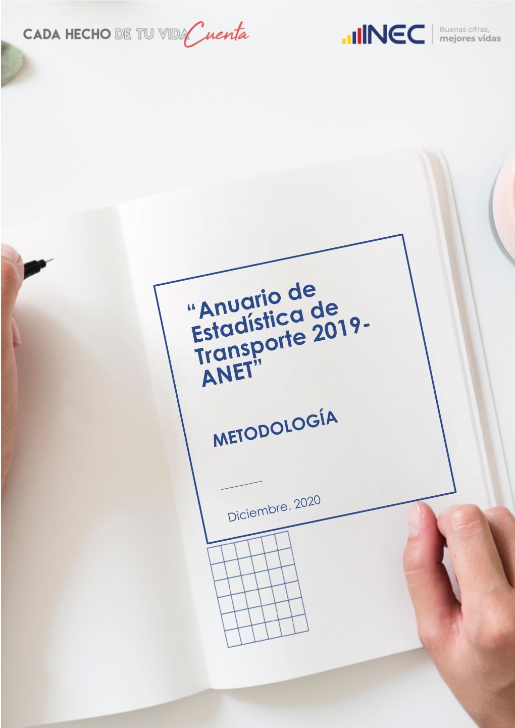 2019 METODOLOGIA ANET.Pdf
