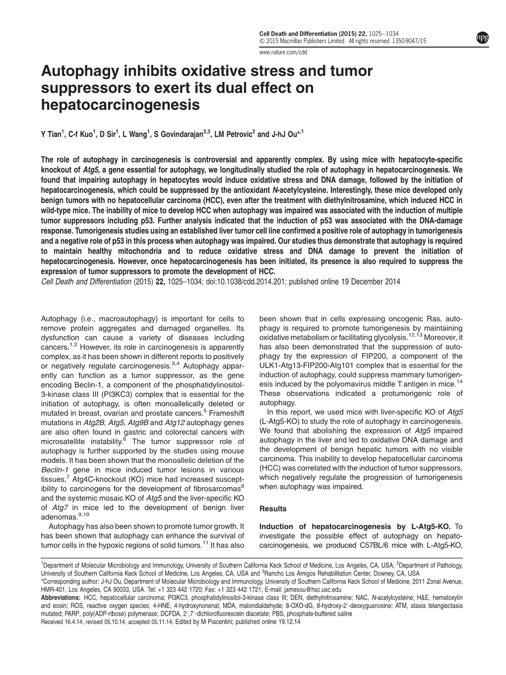 Autophagy Inhibits Oxidative Stress and Tumor Suppressors to Exert Its Dual Effect on Hepatocarcinogenesis