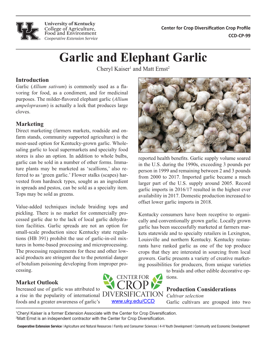 Garlic and Elephant Garlic