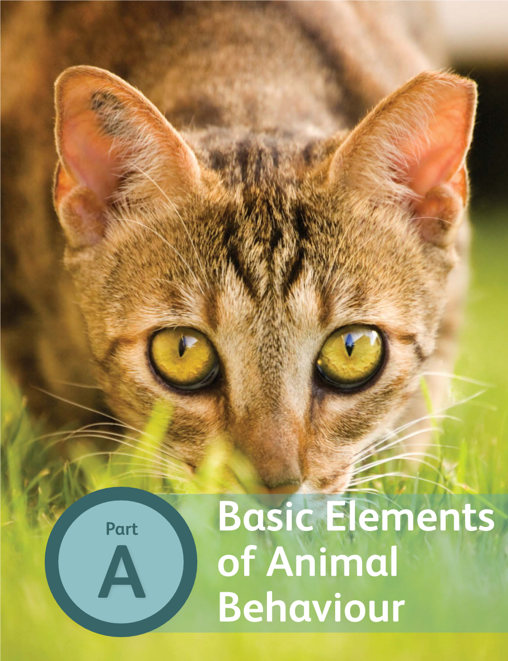 Basic Elements of Animal Behaviour
