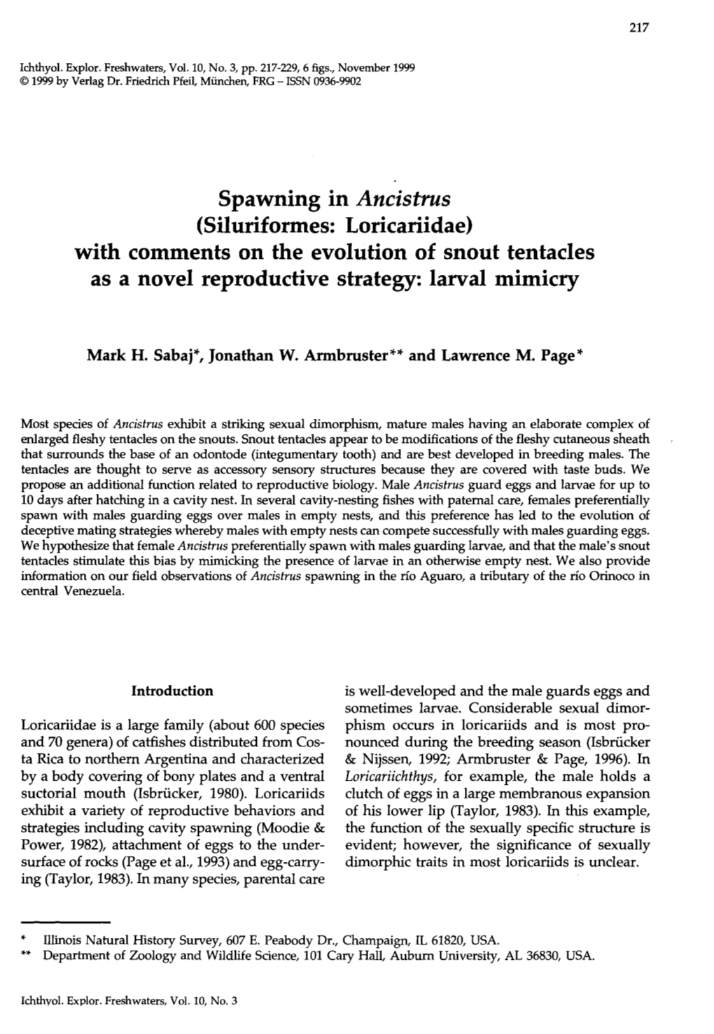 Spawning in Ancistrus (Siluriformes: Loricariidae) with Comments on the Evolution of Snout Tentacles As a Novel Reproductive Strategy: Larval Mimicry